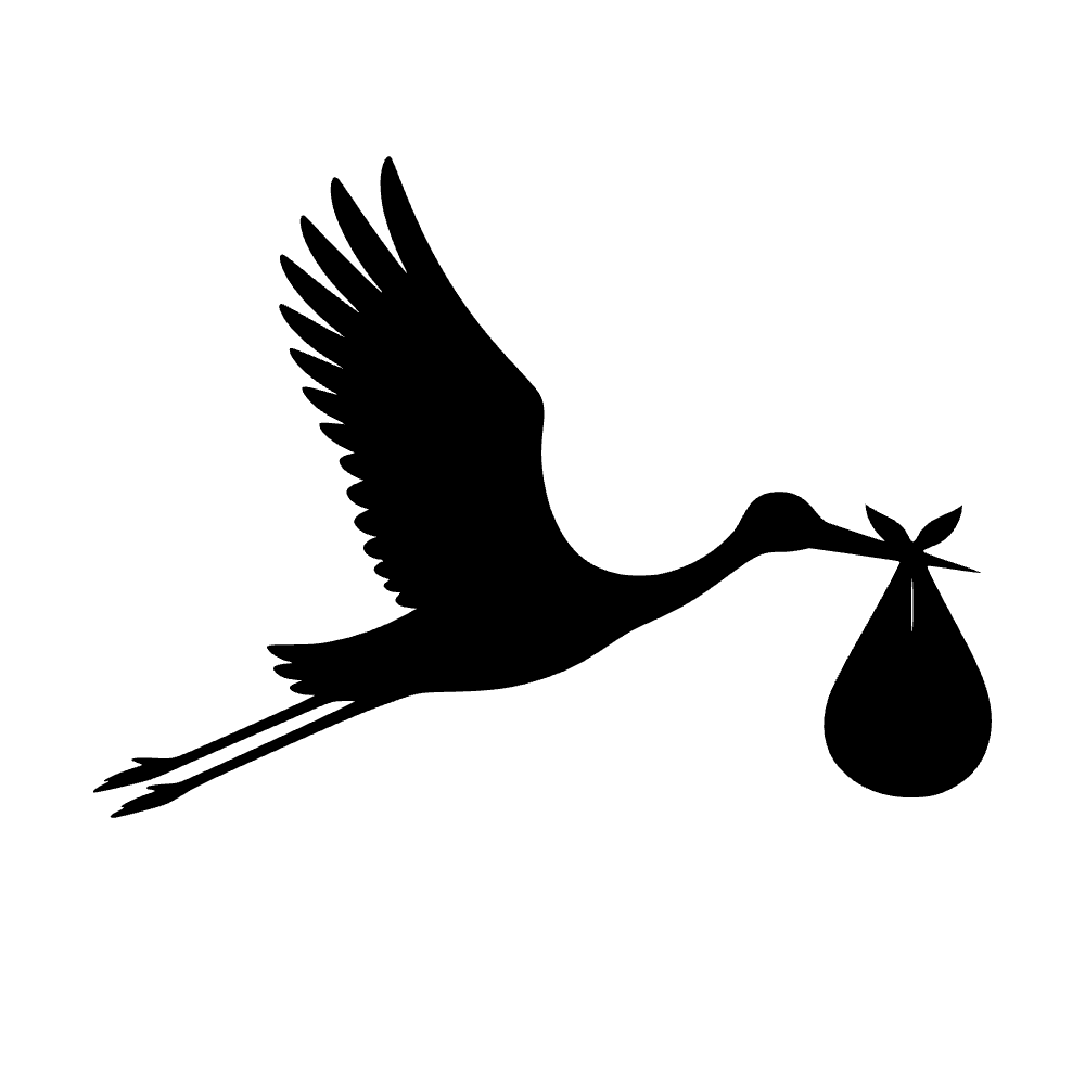 Cigüeña llevando paquete — archivo SVG
