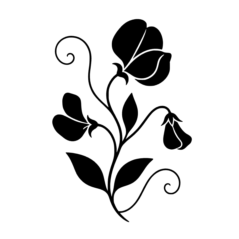 Hojas de guisante dulce — archivo SVG
