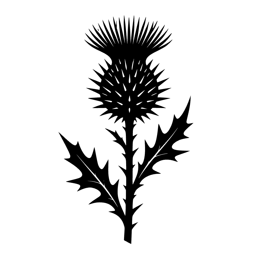 Flor de cardo — archivo SVG