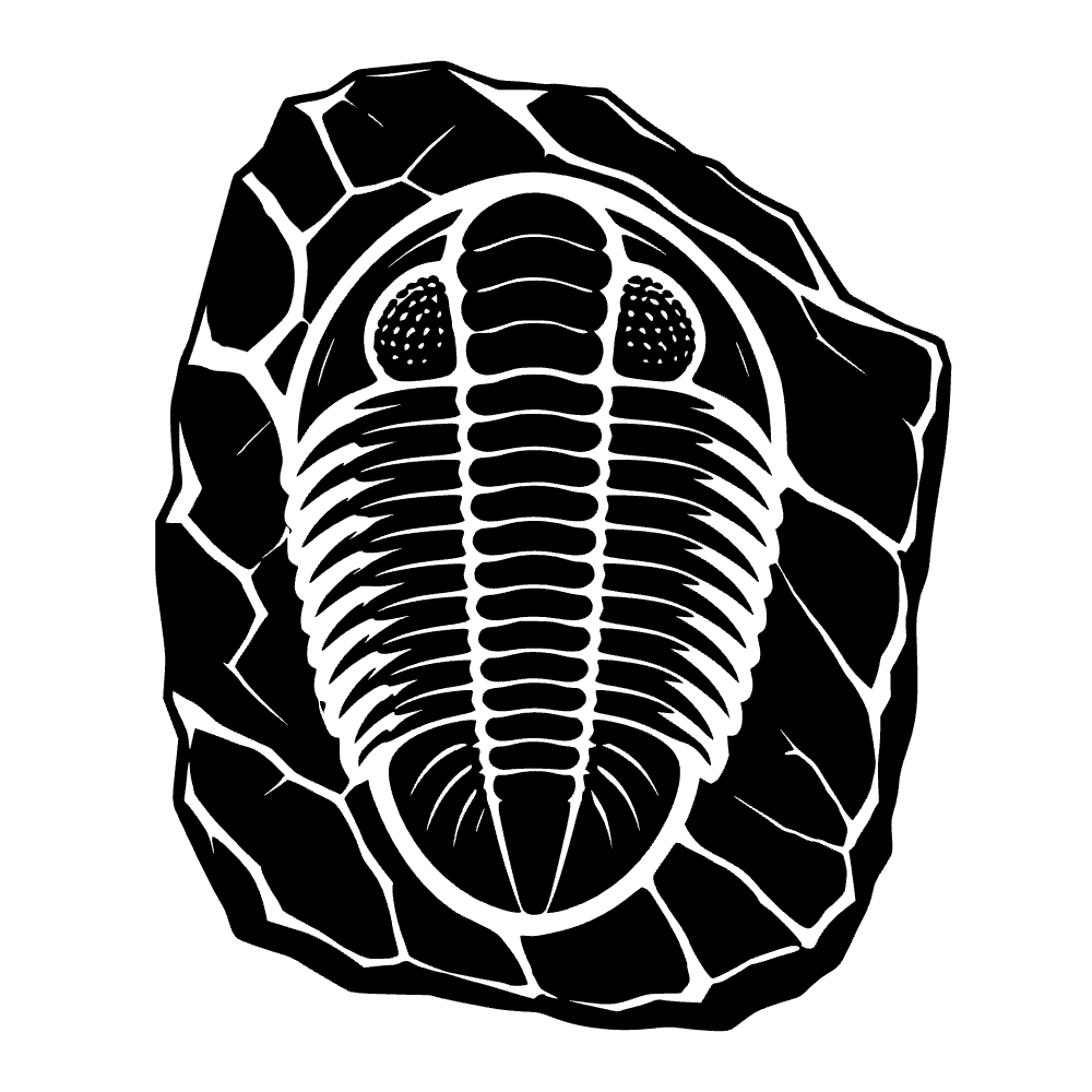 Fósil de trilobite — archivo SVG