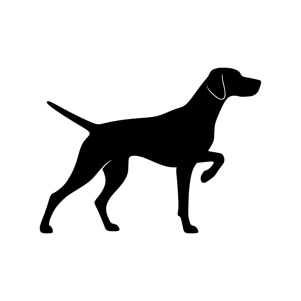 Icono de perro vizsla — archivo SVG