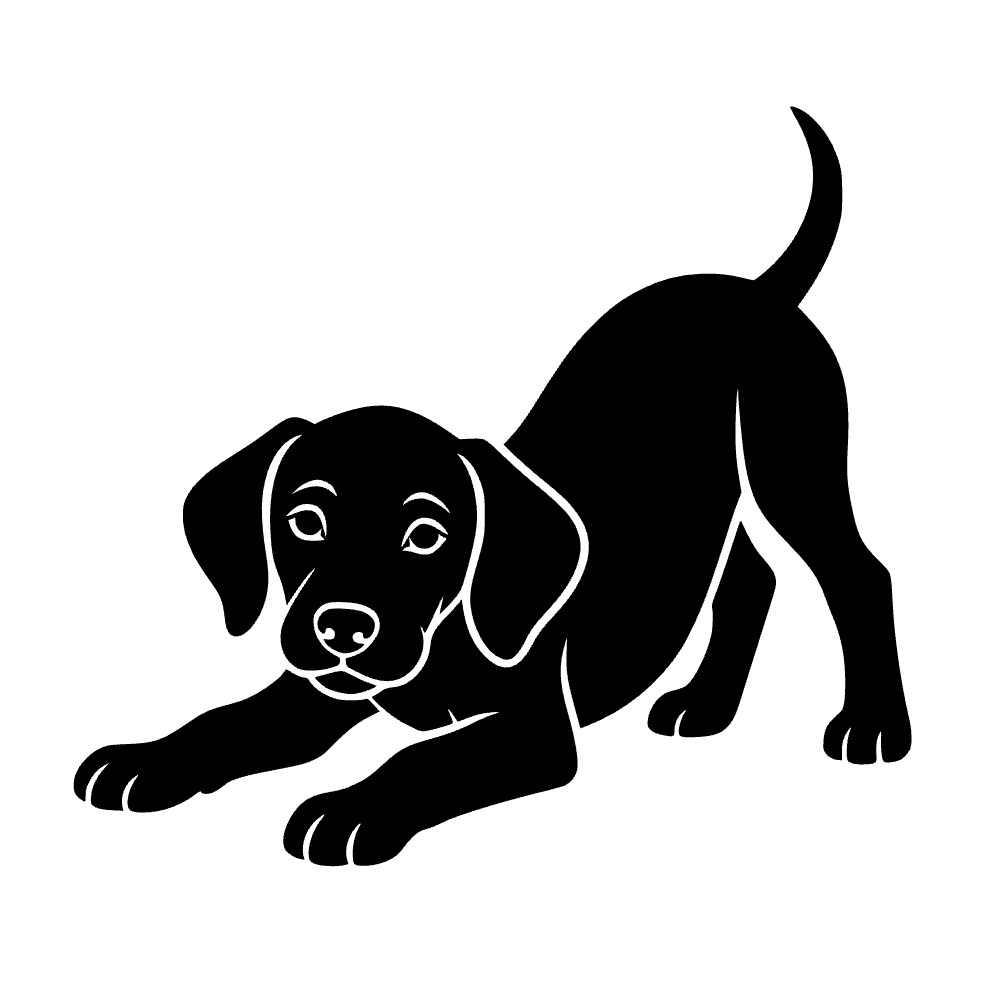 Cachorro vizsla — archivo SVG