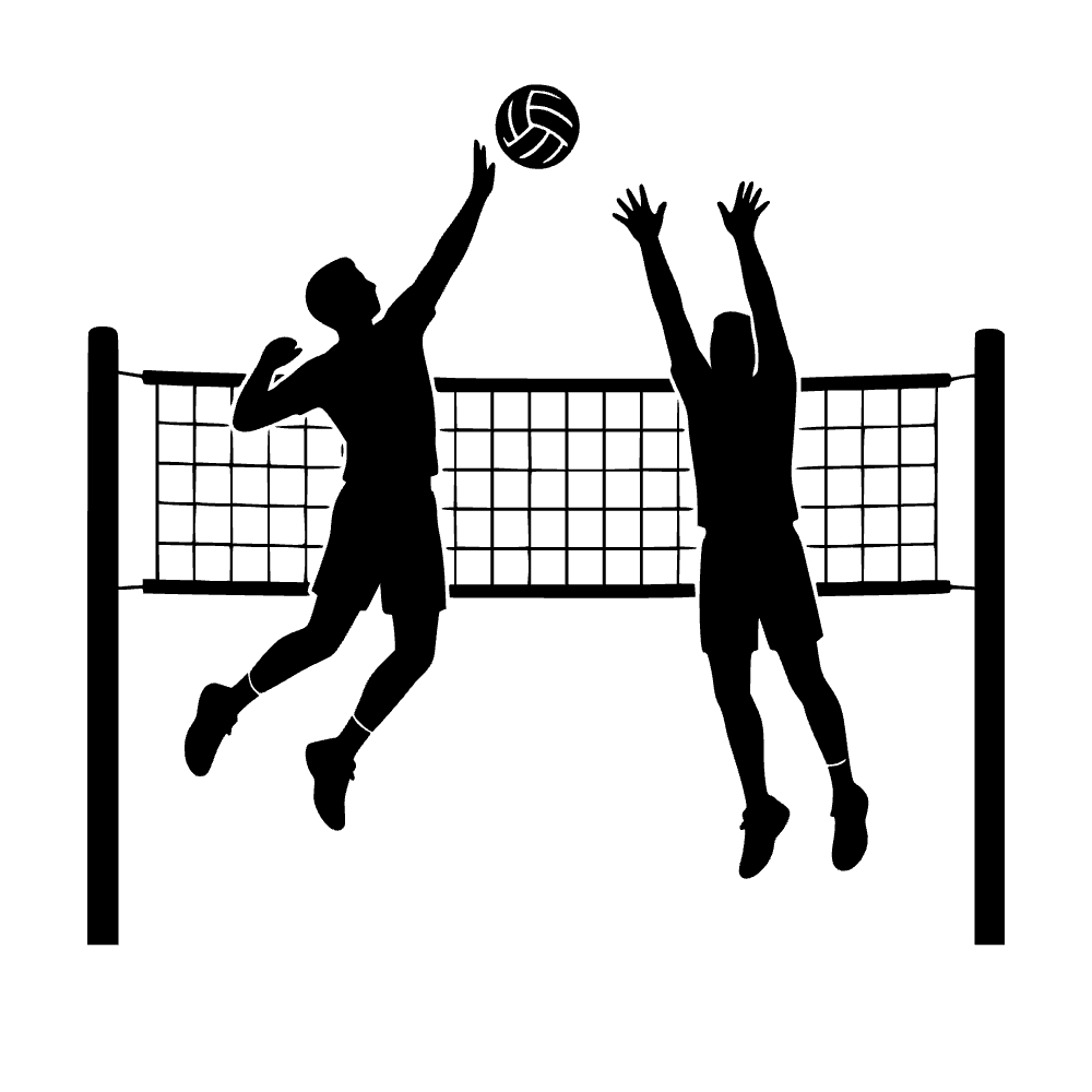 Balón sobre red de voleibol — archivo SVG
