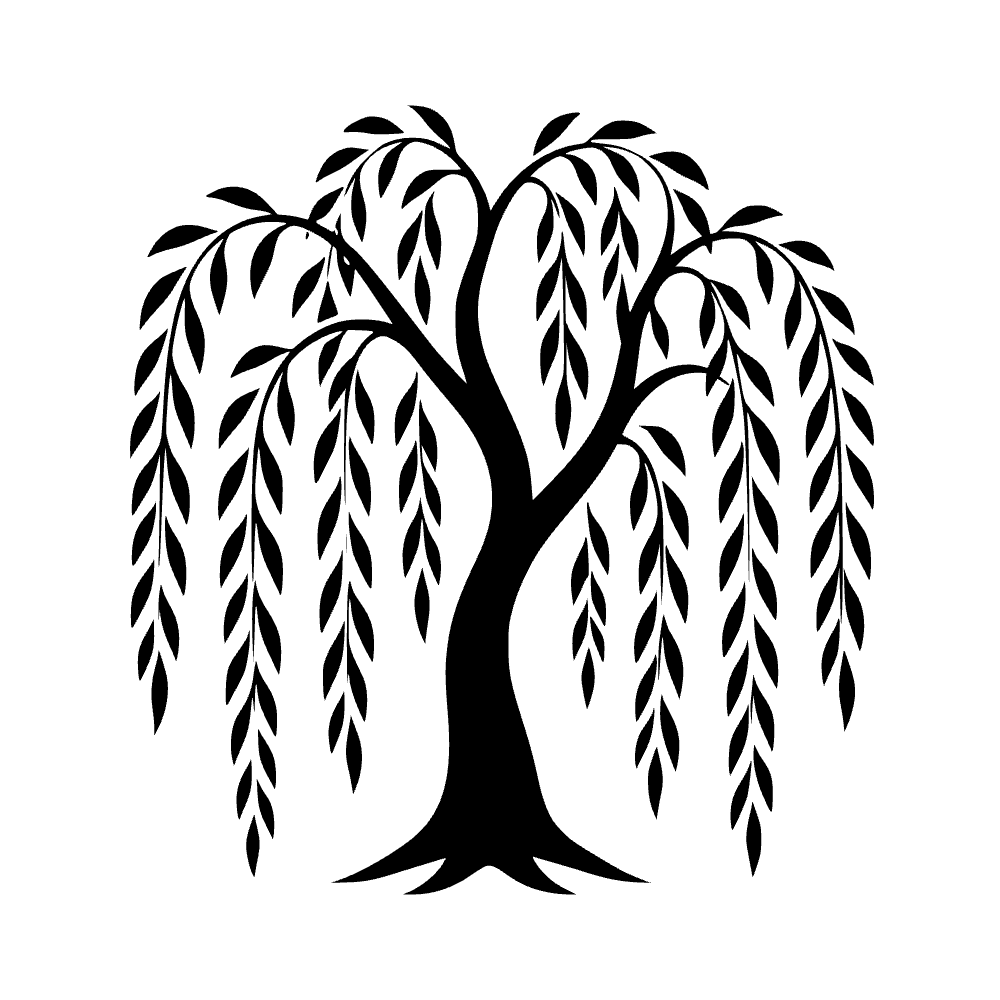 Sauce llorón — archivo SVG