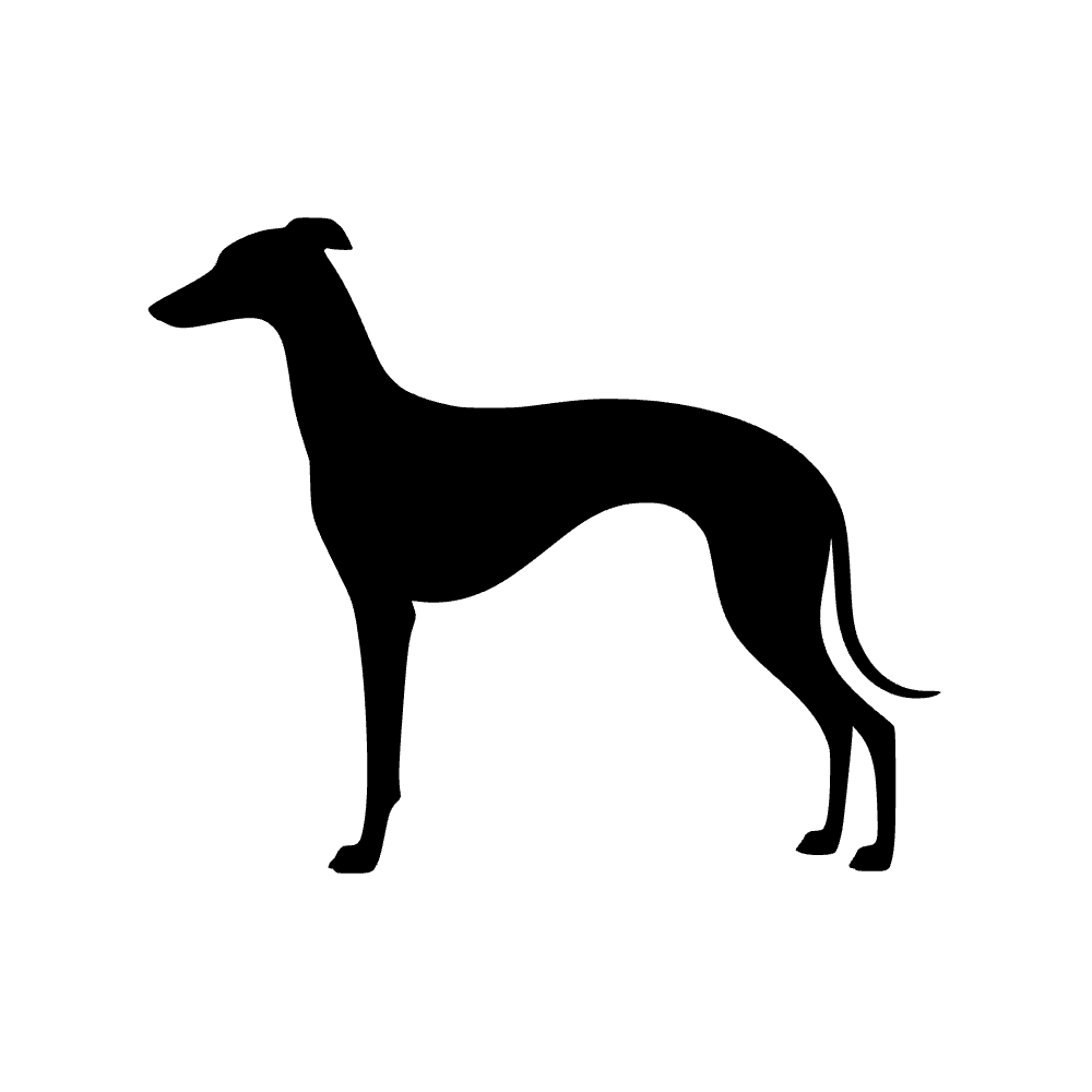 Perro whippet — archivo SVG