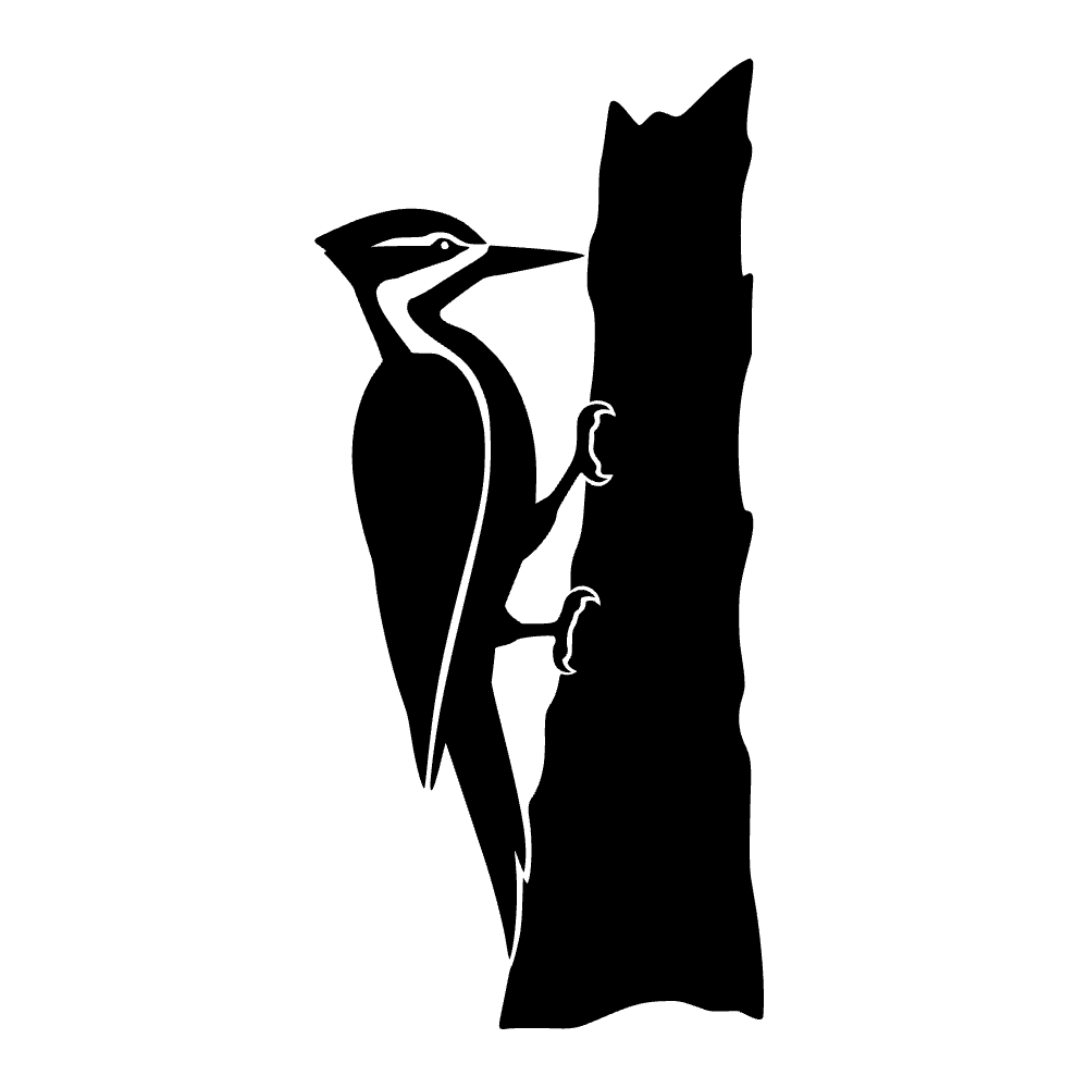 Pájaro carpintero aferrado al tronco — archivo SVG
